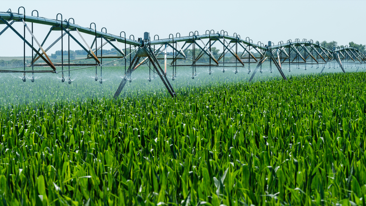 Irrigation pivot