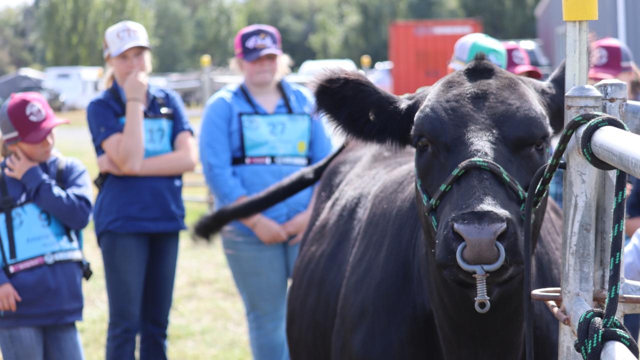 2025 Junior Beef Expo