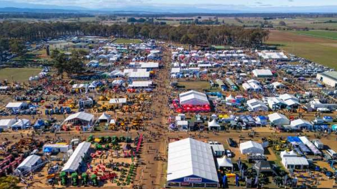 Agfest field day
