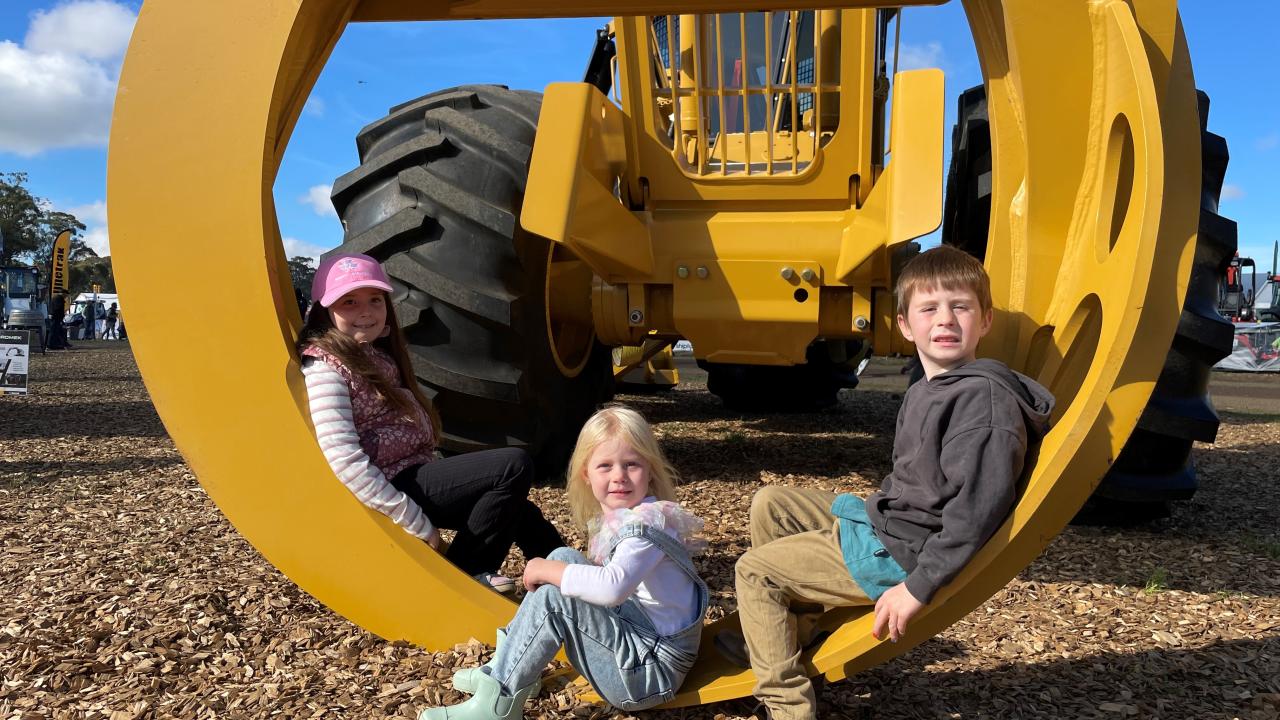 Millie, Ivy and Harrison Chamley of Boat Harbour Millie, Ivy and Harrison