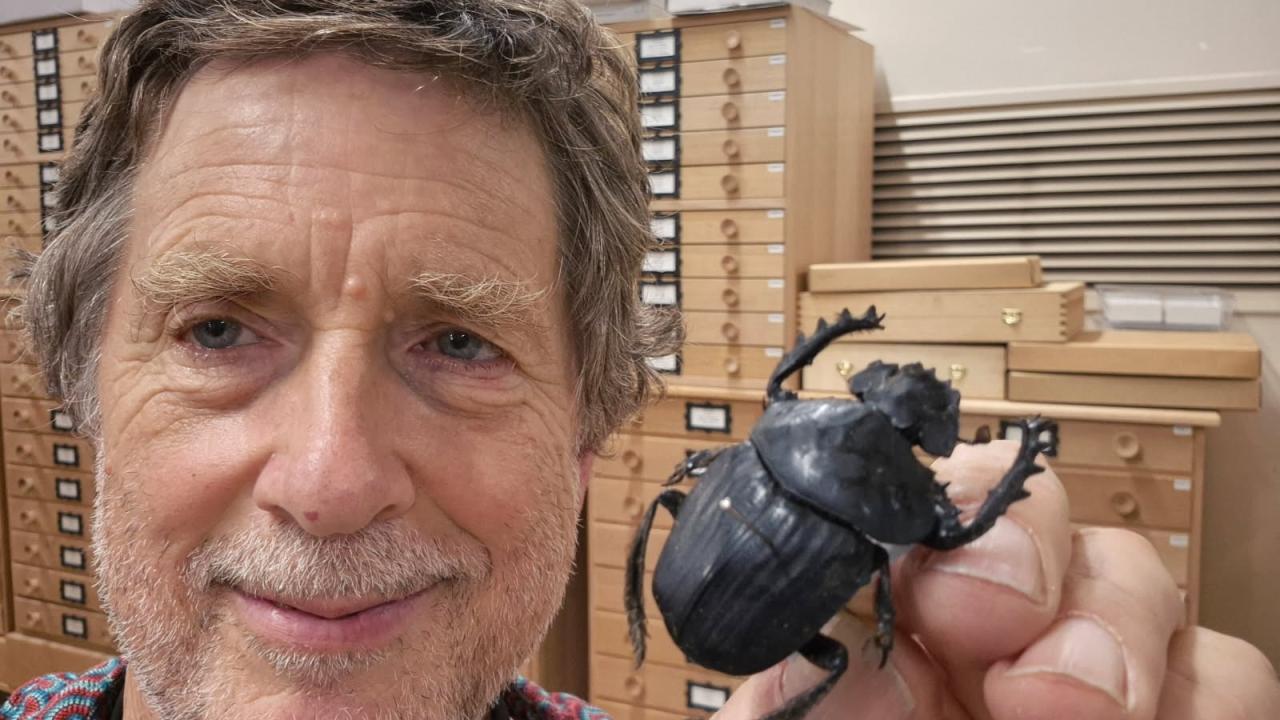Senior curator of invertebrate zoology at TMAG Dr Simon Grove with a dung beetle Simon Grove