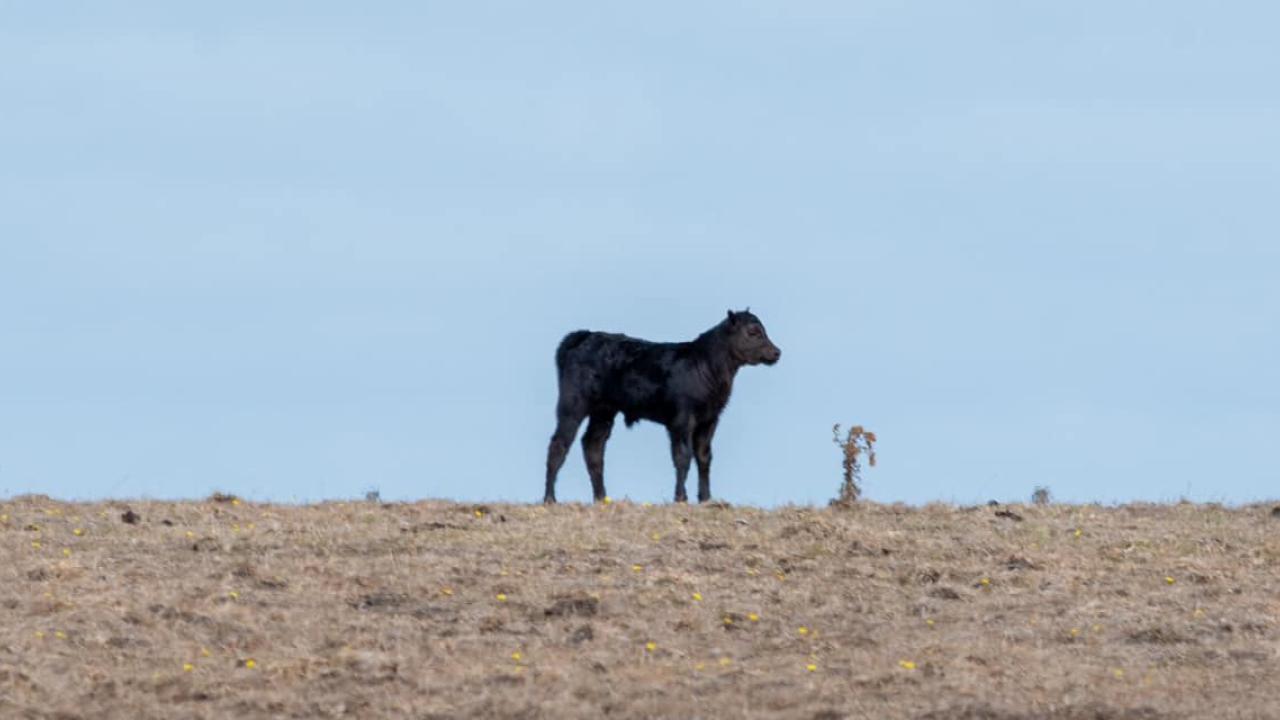 Tasmania experiences driest April in a decade Tasmania experiences driest April in a decade