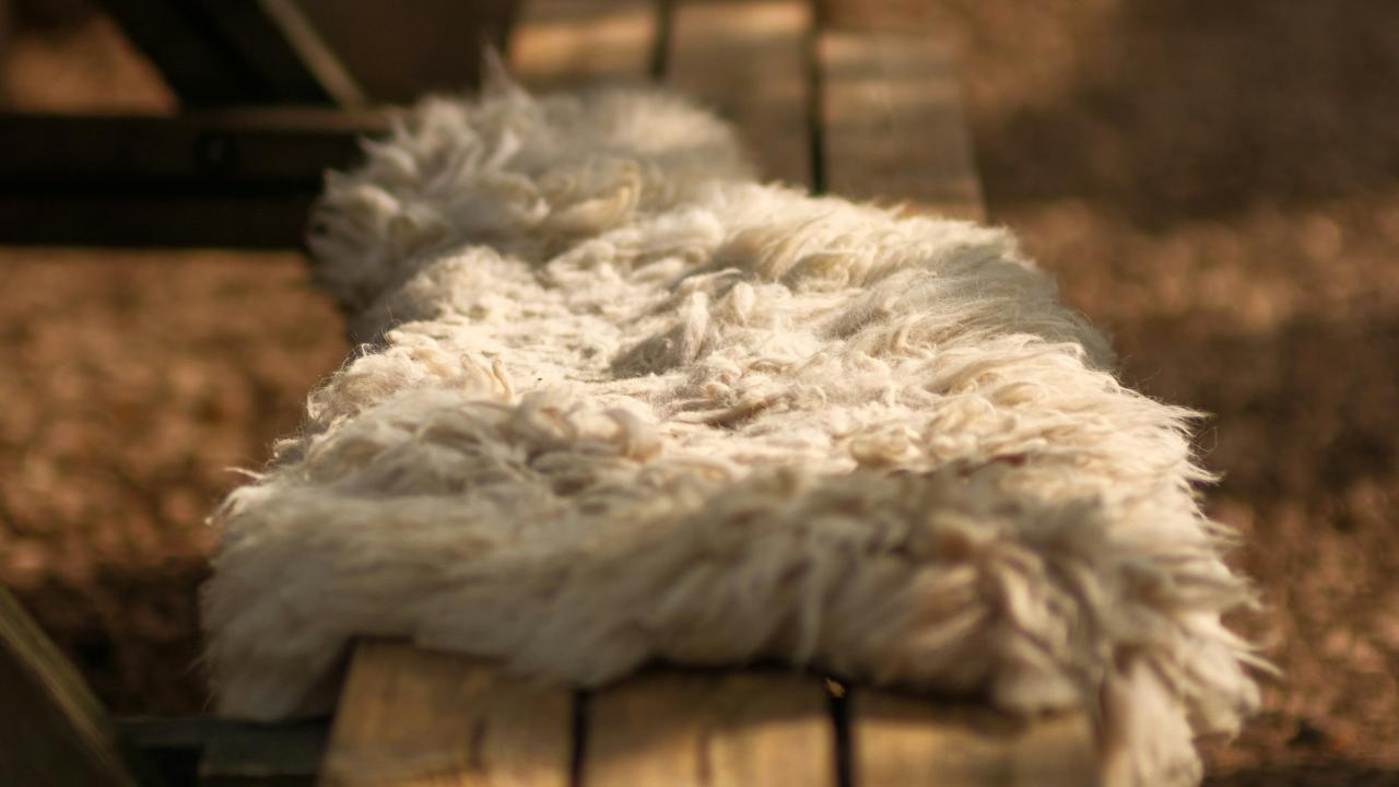 Wool Wool