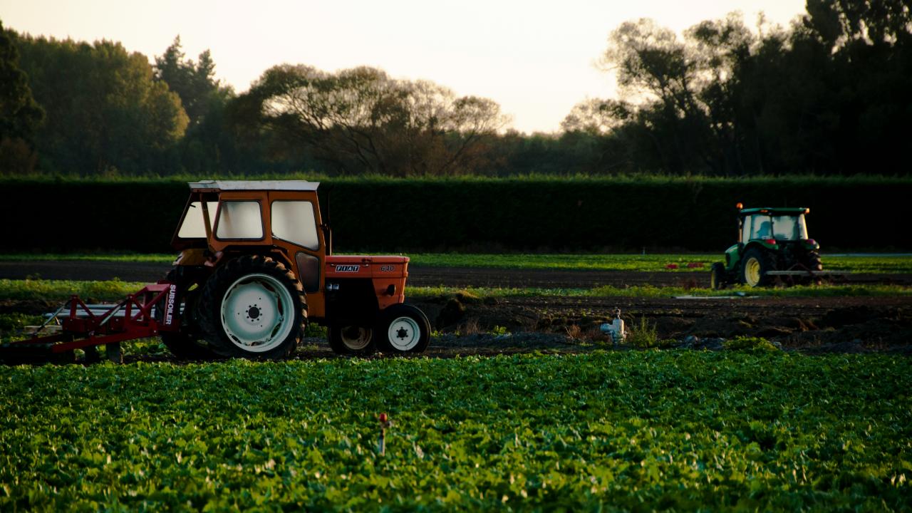 Agriculture Agriculture