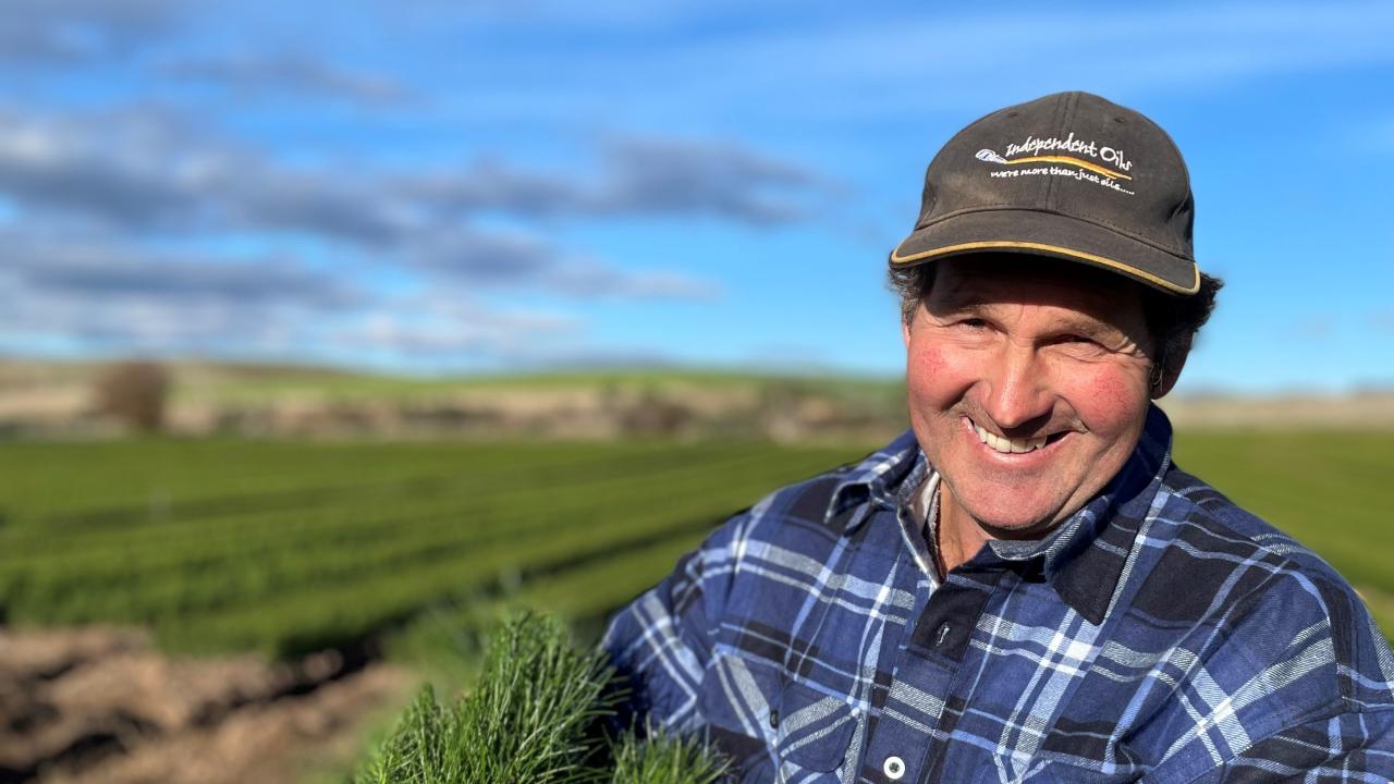 Todd Raynor with some of the pine seedlings ready for transplating