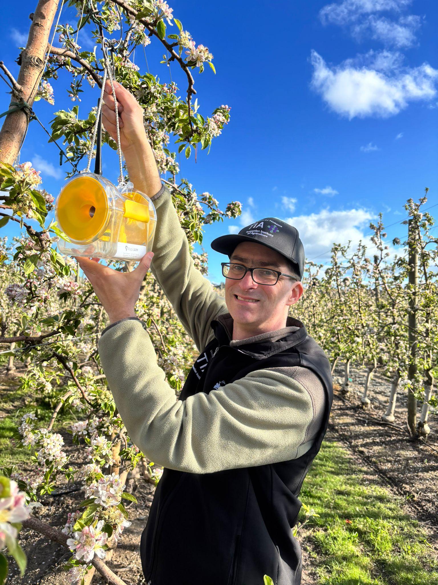 JM Roberts Charitable Trust recipient Justin Cappadonna with a codling moth sensor at an apple orchard in northern Tasmania.