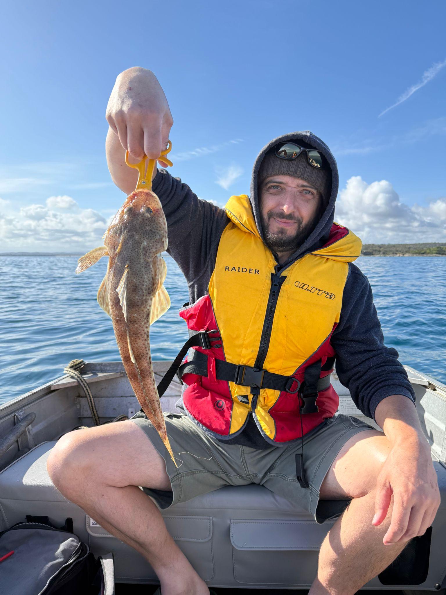 Sand flathead