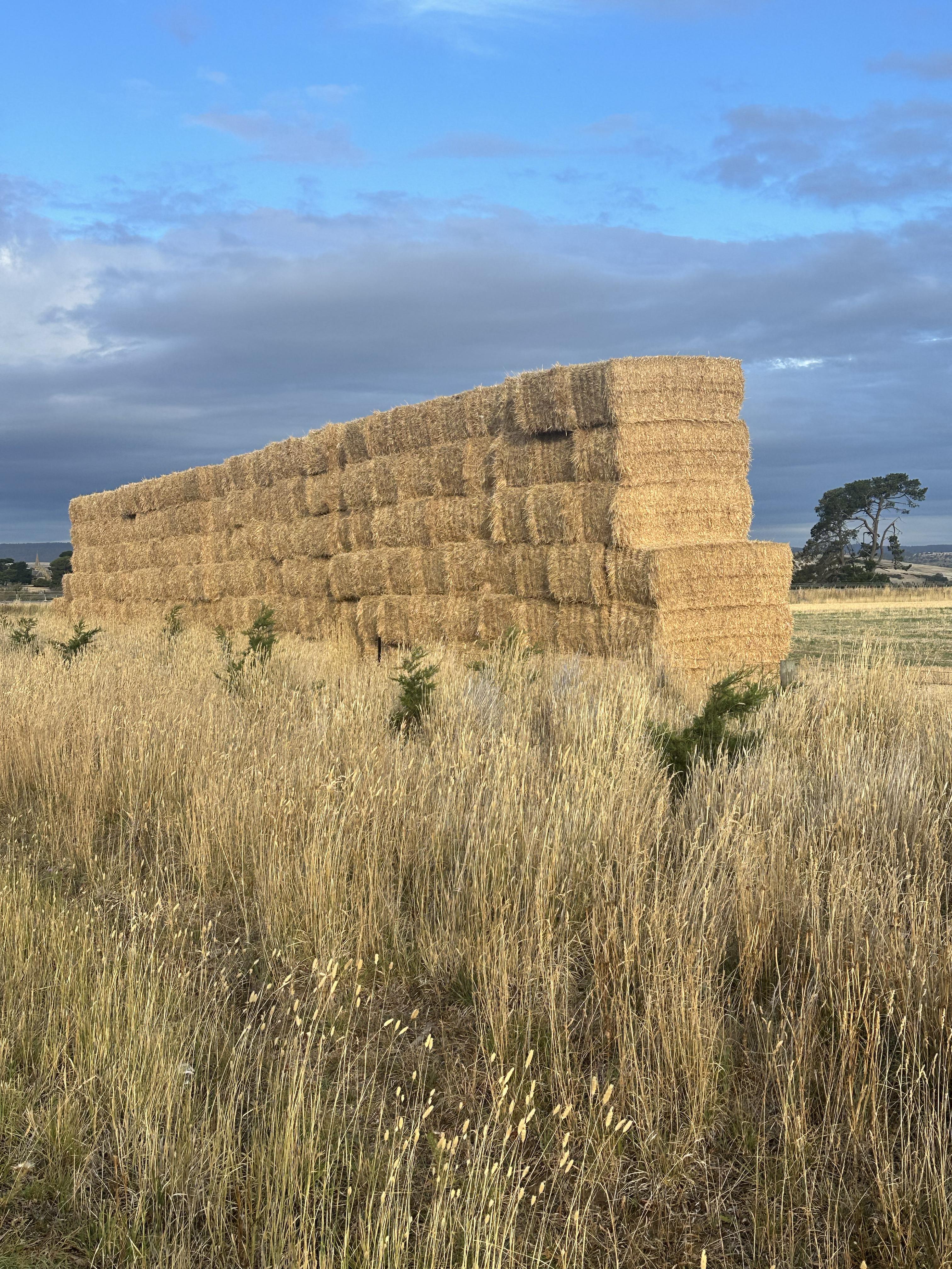 Hay stack