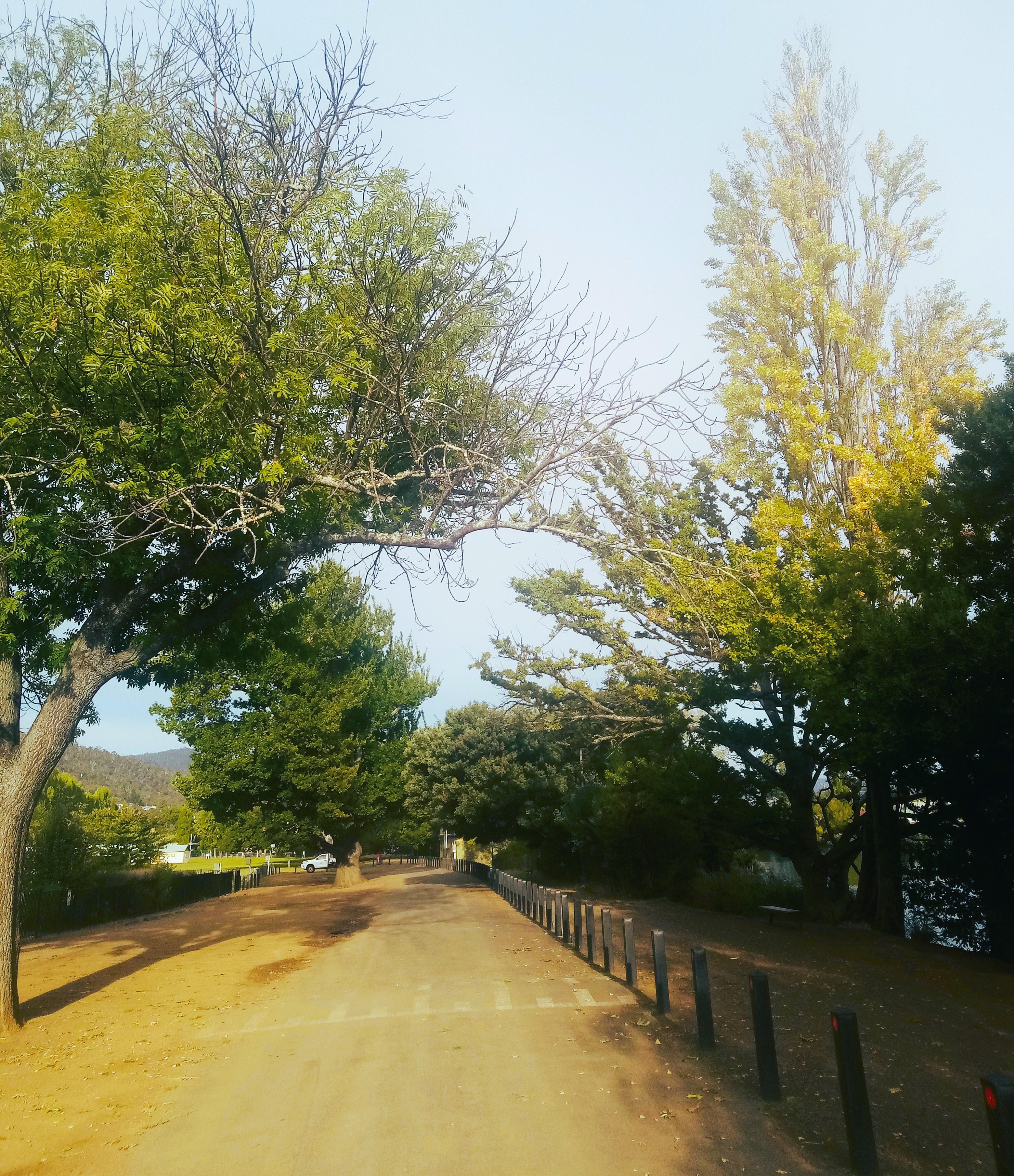 New Norfolk Esplanade