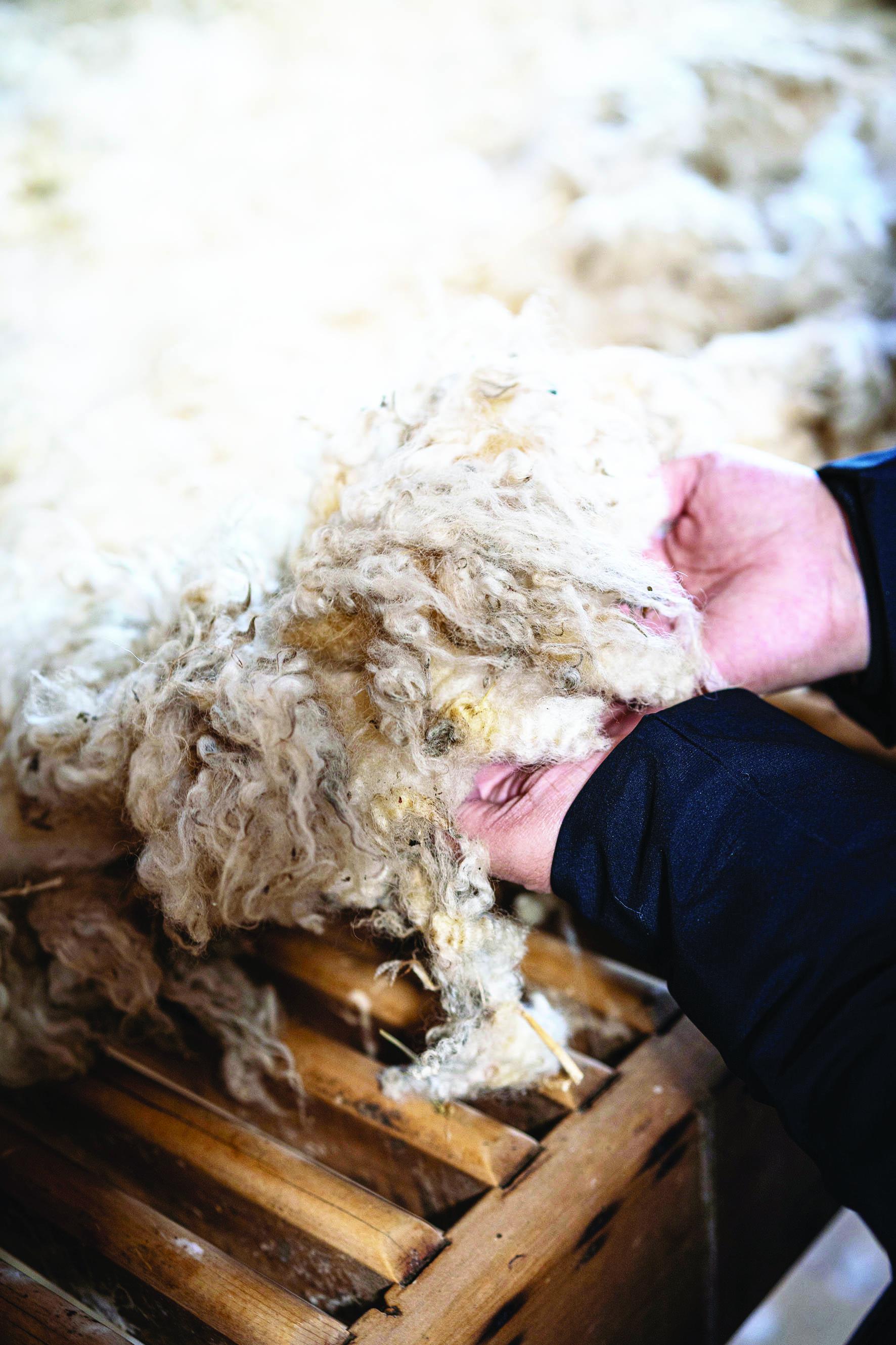 Wool fleece