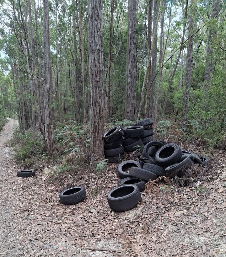 Tires dumped on STT land
