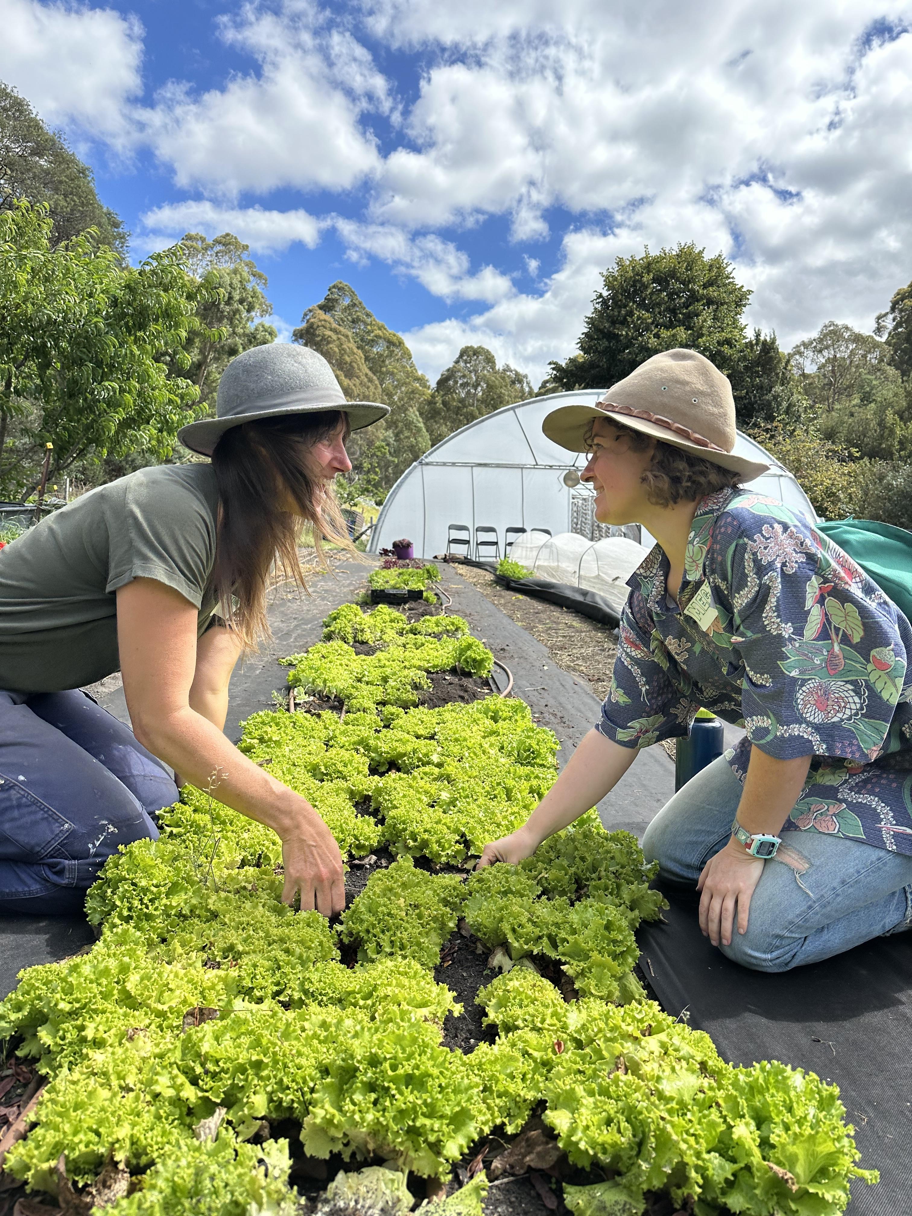 Helen Kwiecien and Mitzi Quill