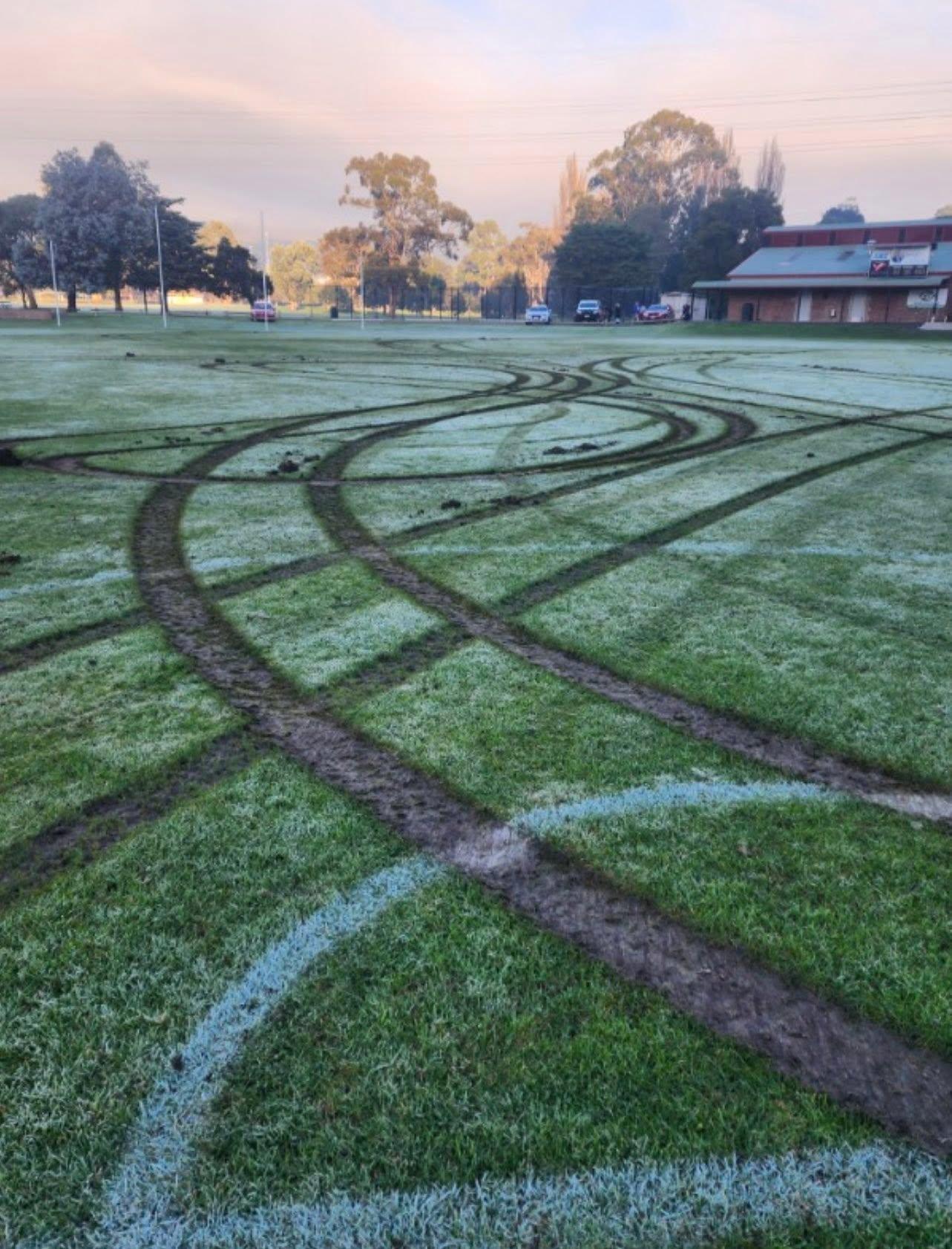 Tynwald Park vandalism