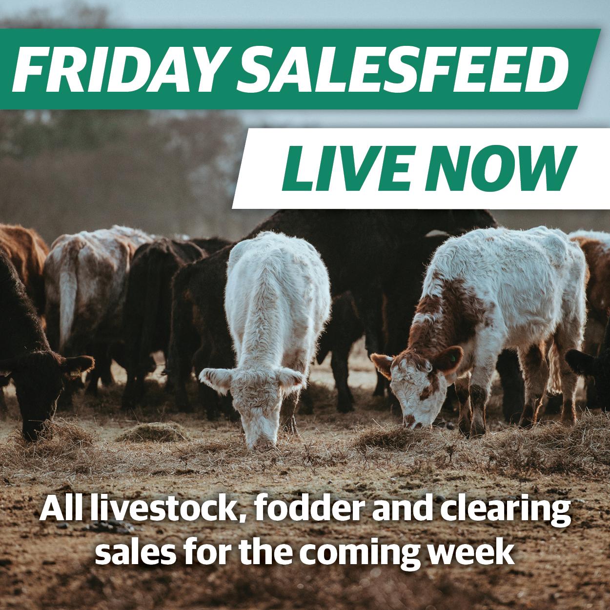 Salesfeed