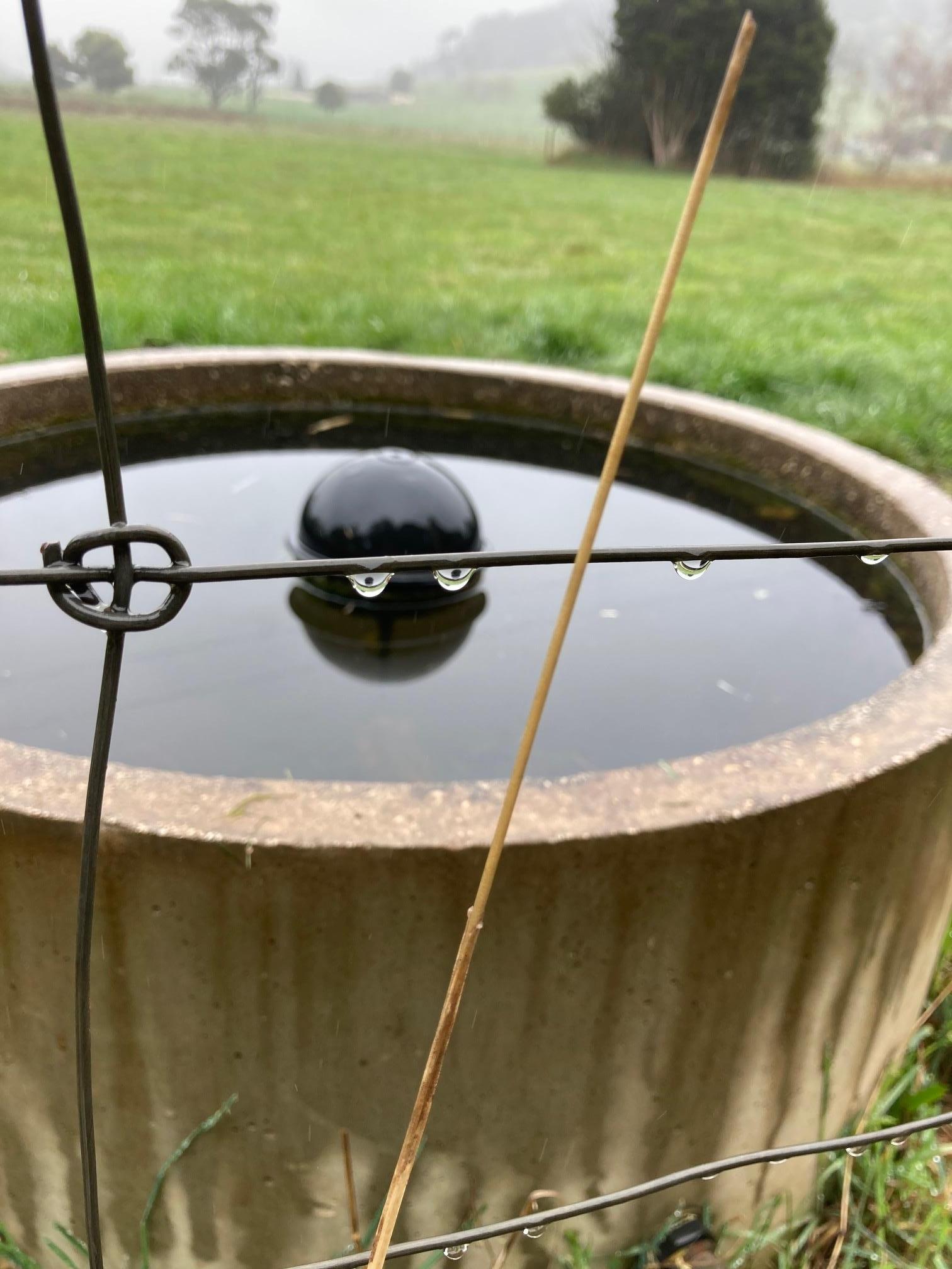 Weather Watcher by Pauline Macmillan