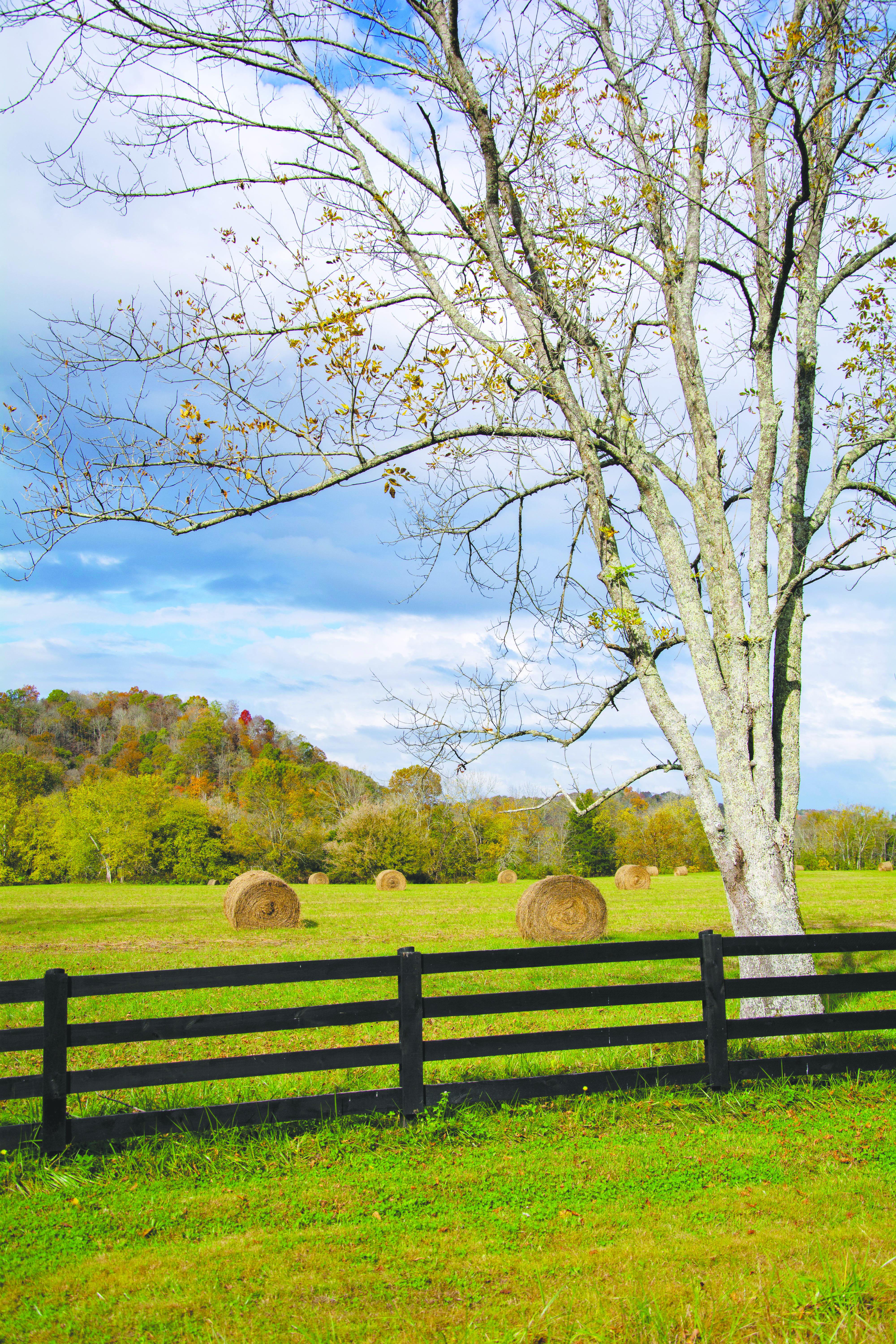 A farm fence
