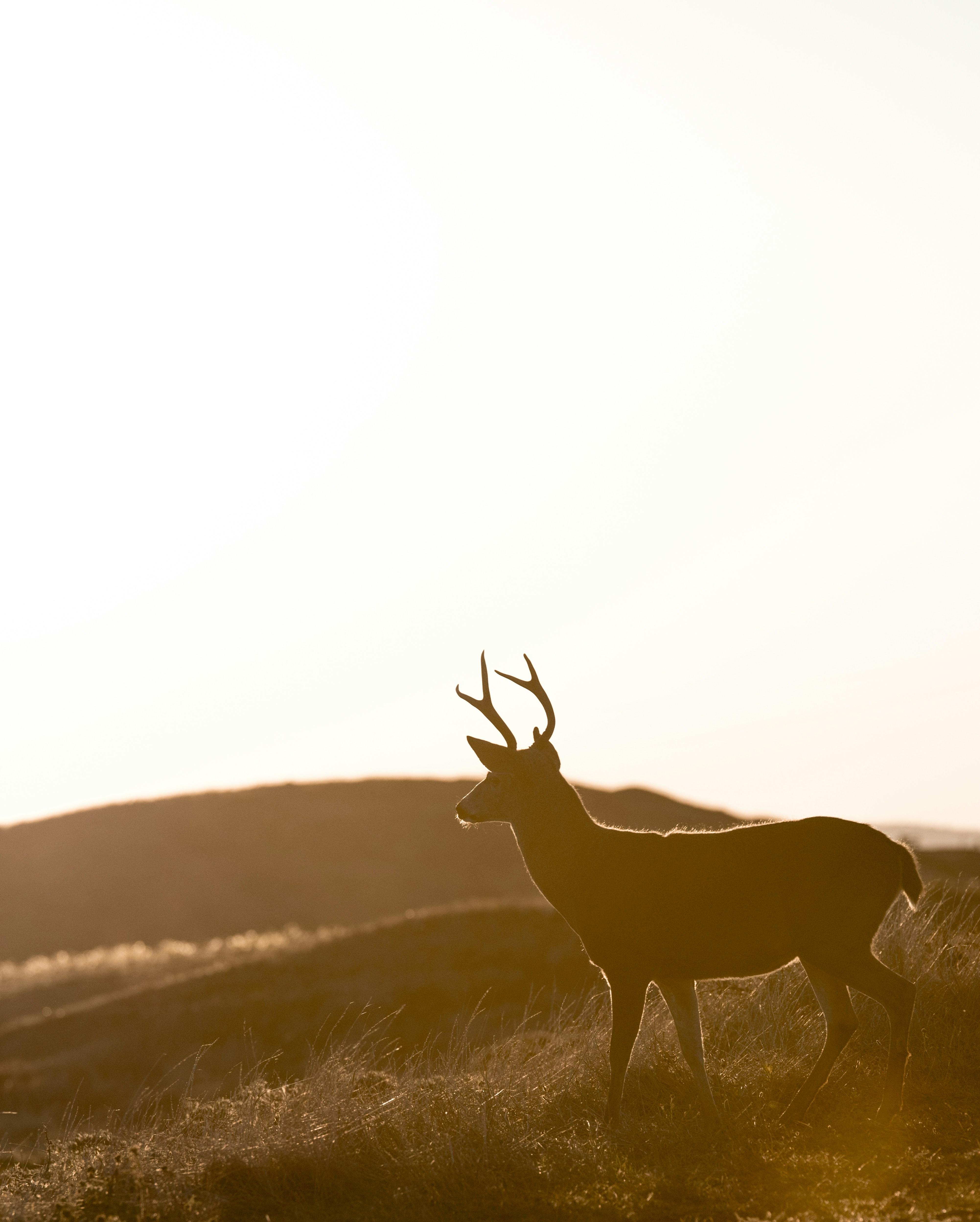 Photo by Casey Horner