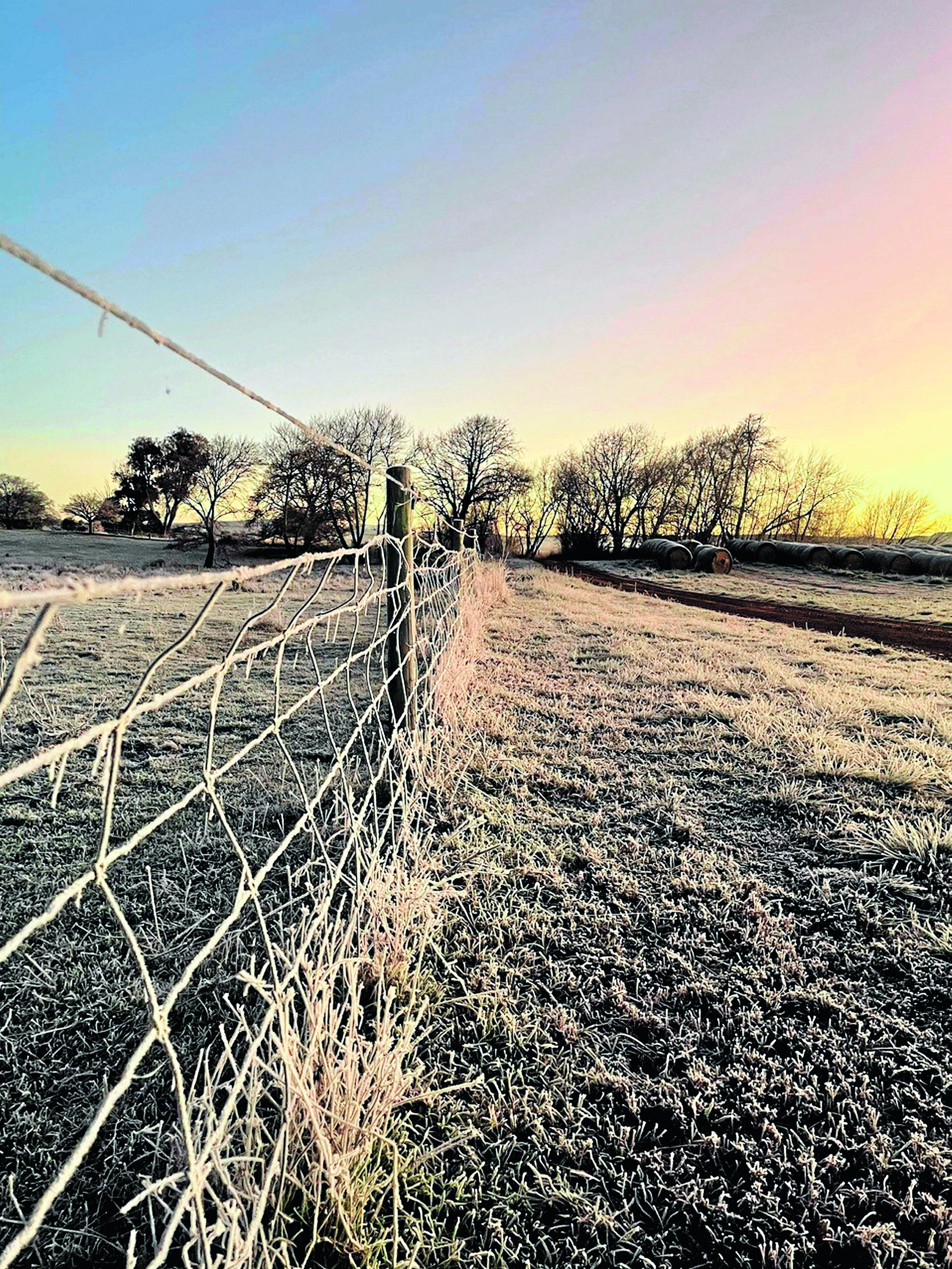 Frosty farm fence