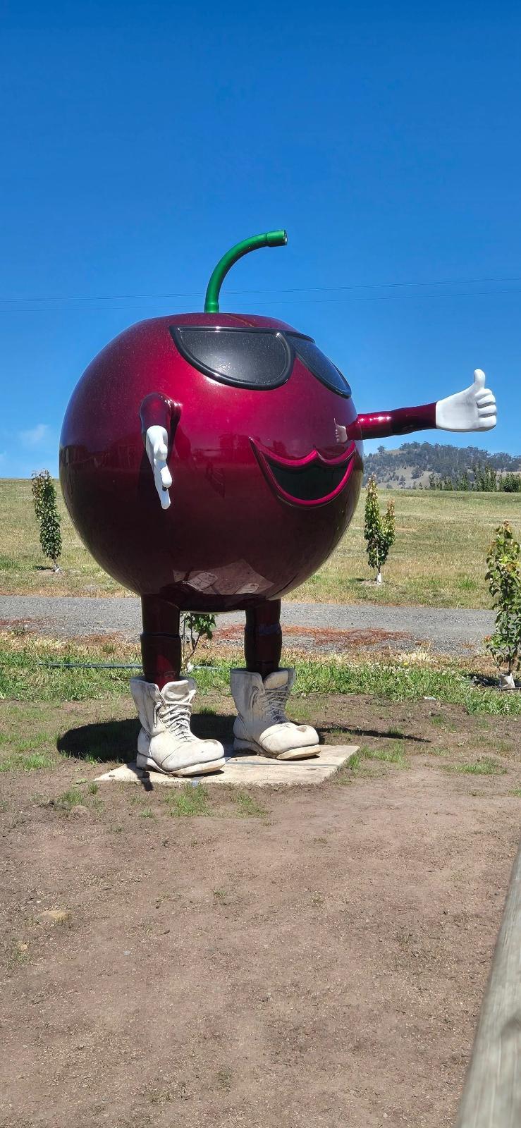 Kevin the "Big Cherry" at Campania orchard Cherrycot