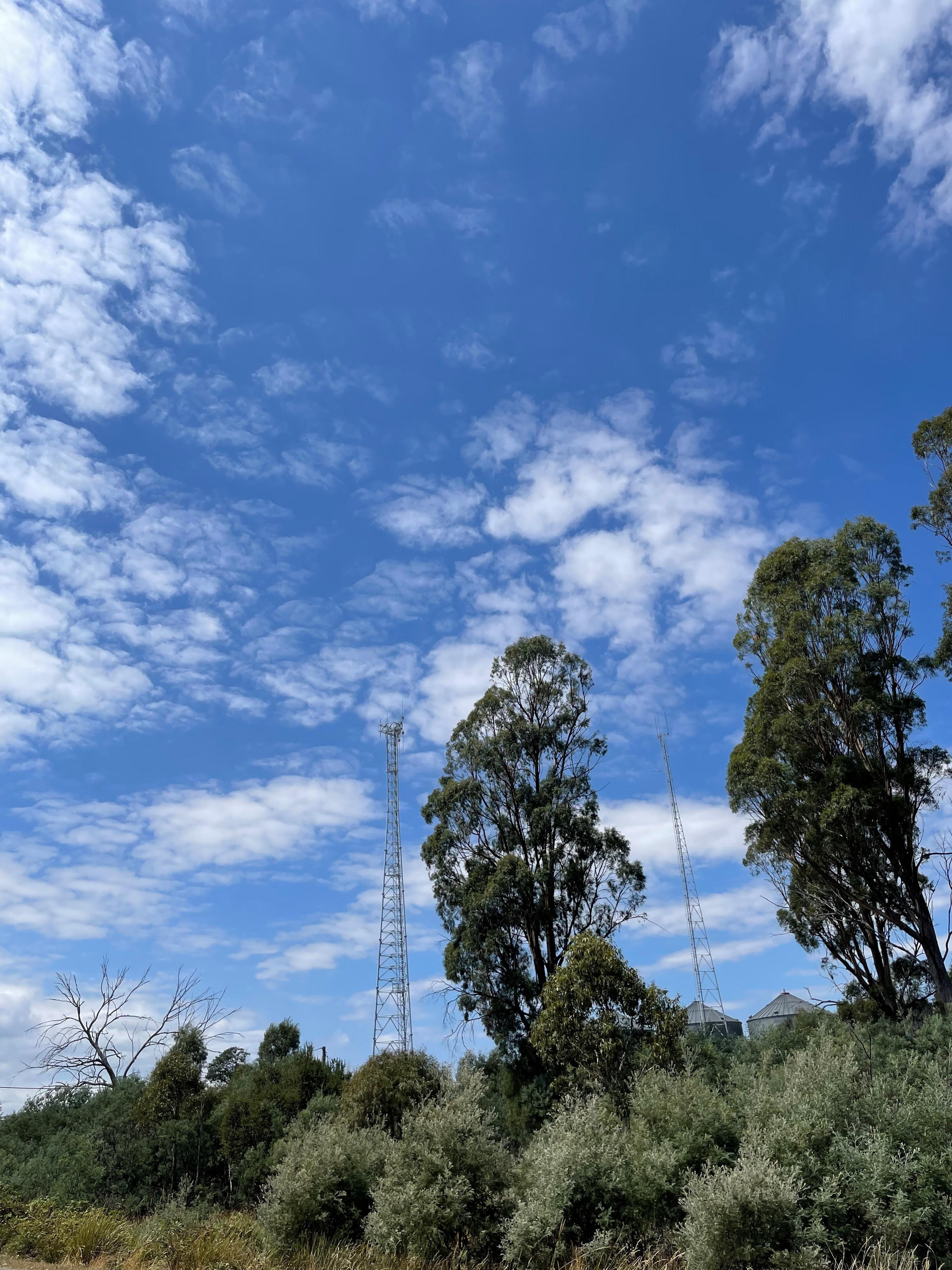 Phone tower in the Midlands