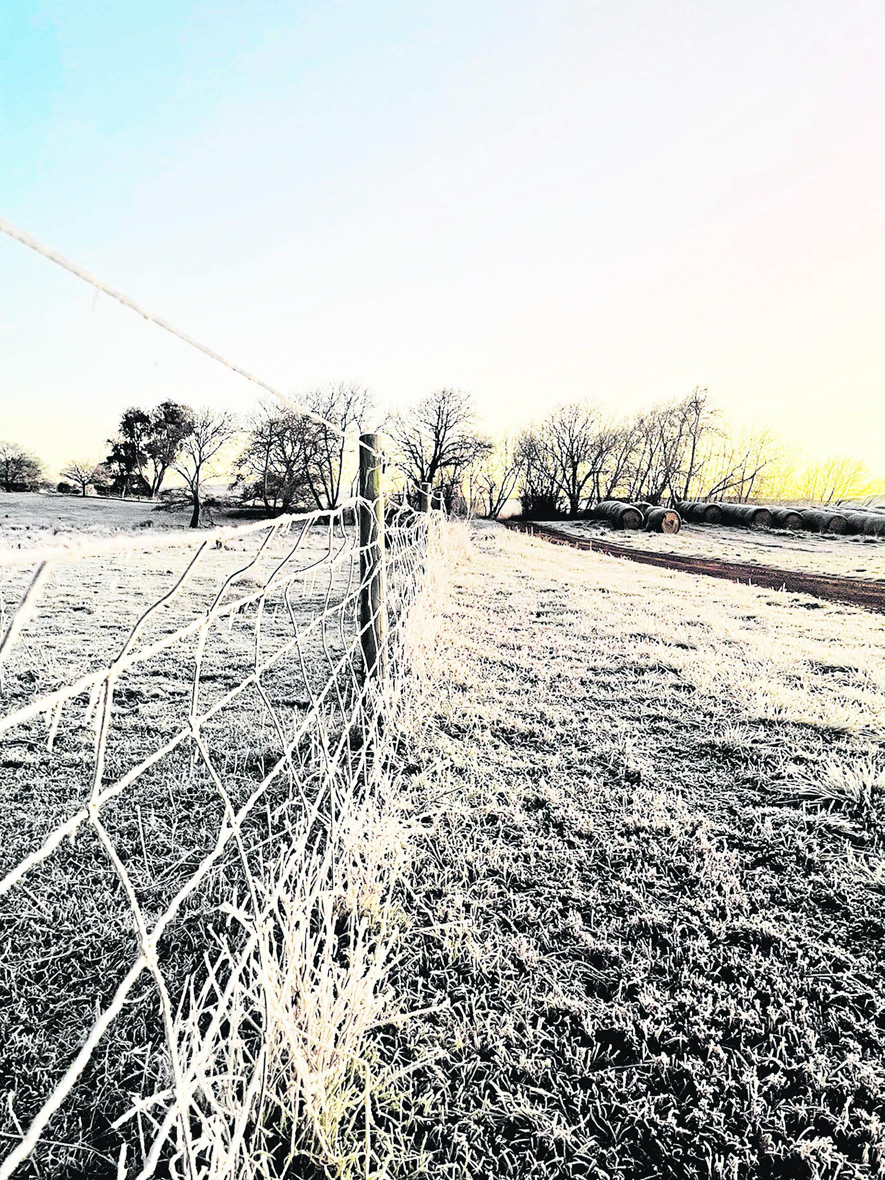 Frost farm morning