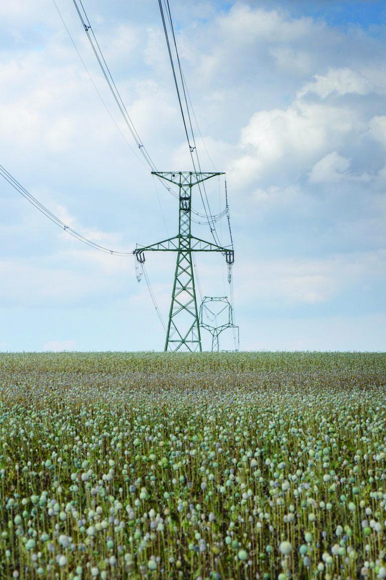 Transmission lines in the Northern Midlands
