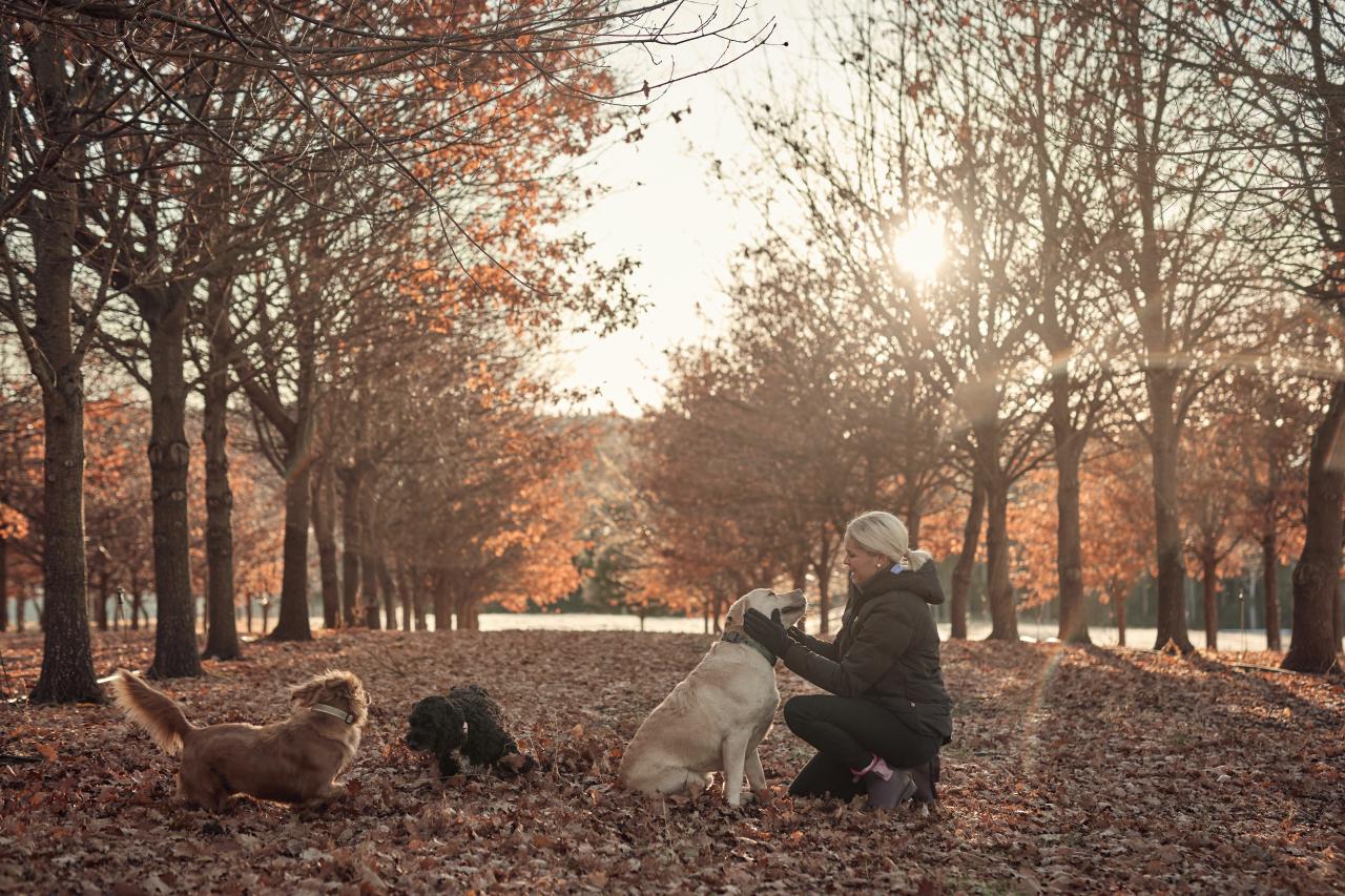 The Truffle Farm at Deloraine