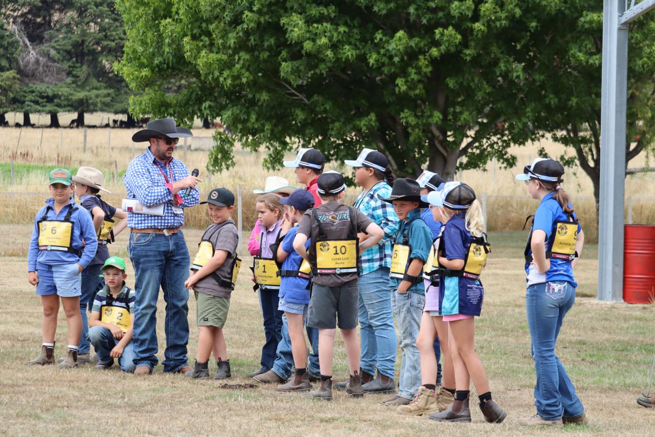 Judge Tyler Geist teaches the art of cattle showing to the novices