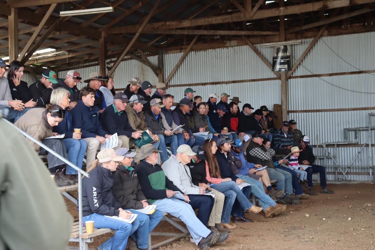 Buyers at Jessiefield, Longford for the Cluden Newry bull sale.