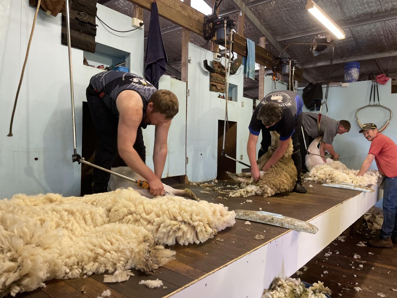 Shearers