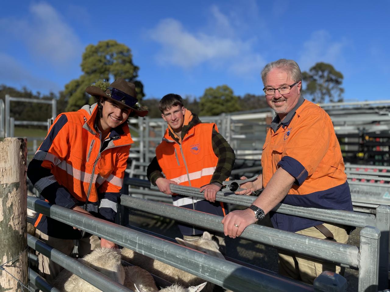 Will Gangell of Westbury, Kai Calderon of Windermere and teacher Greg Finnigan get the sheep sorted in the yards.