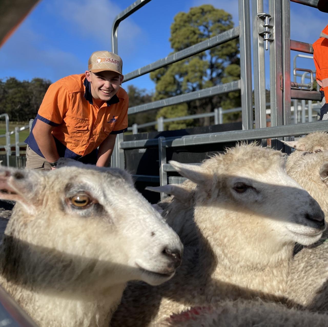 Part-time ag student Jaxon Job of Sidmouth enjoys working with the sheep.