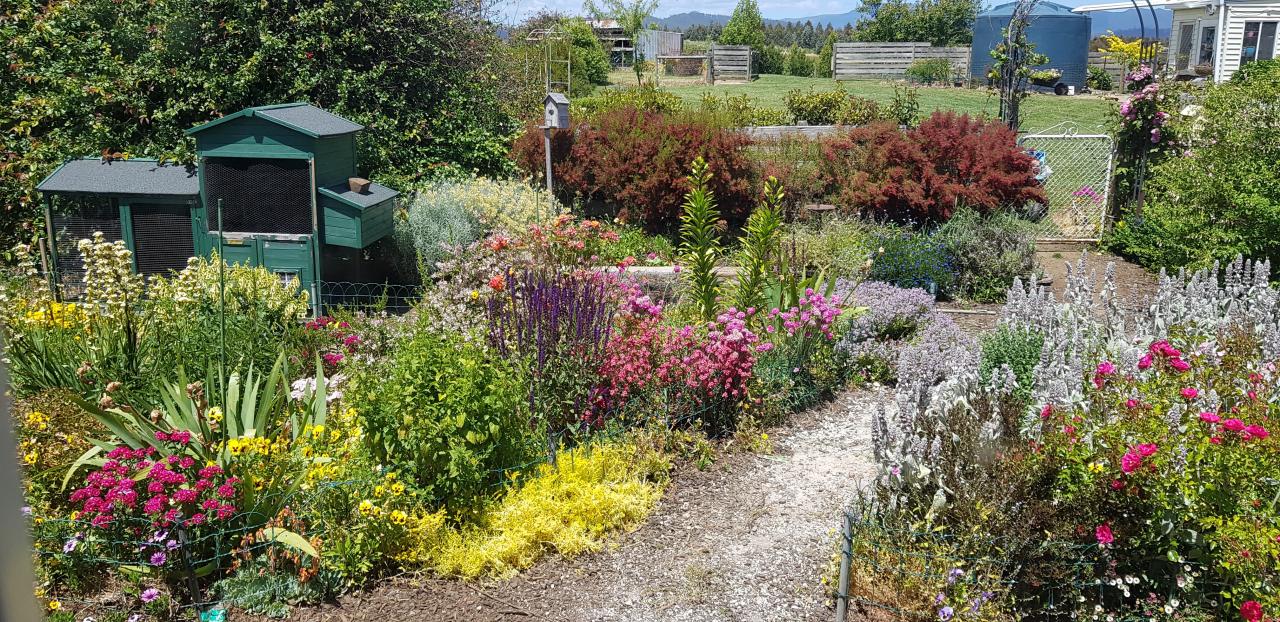 Dawn has worked hard on establishing a garden where there was nothing.