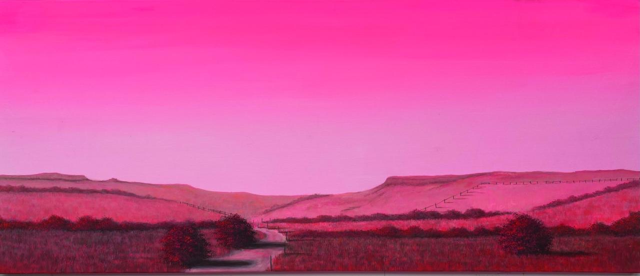 Amanda Johnson’s “Colonial Heat 2: Panninher Country near Longford”