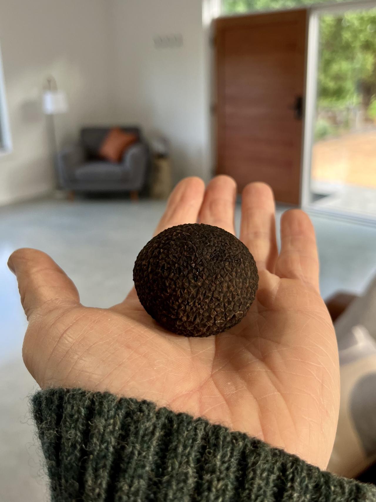 Truffle