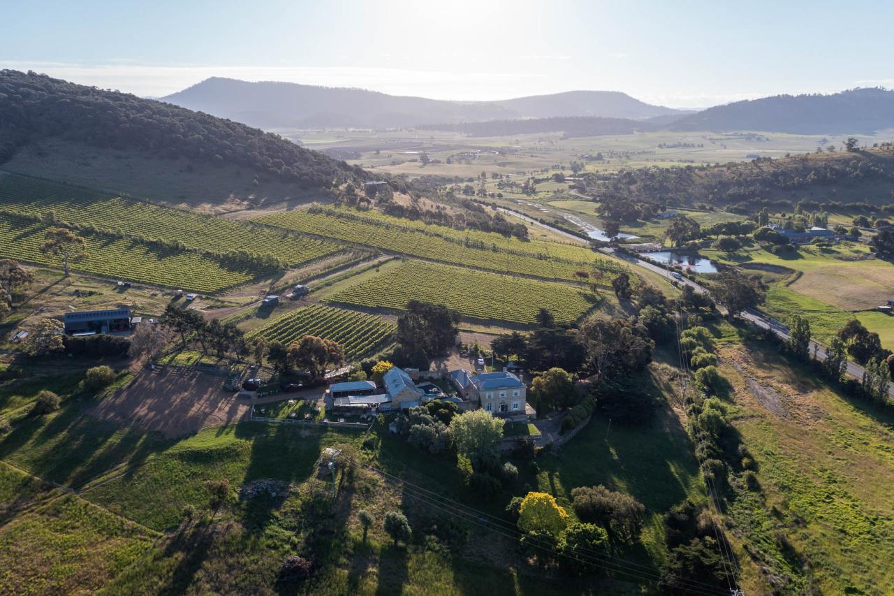 Pooley Vineyard