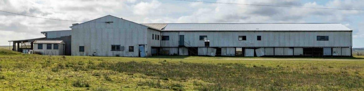 The iconic Rushy Lagoon shearing shed