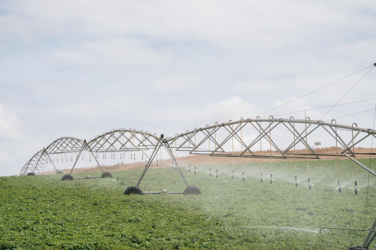 Irrigation
