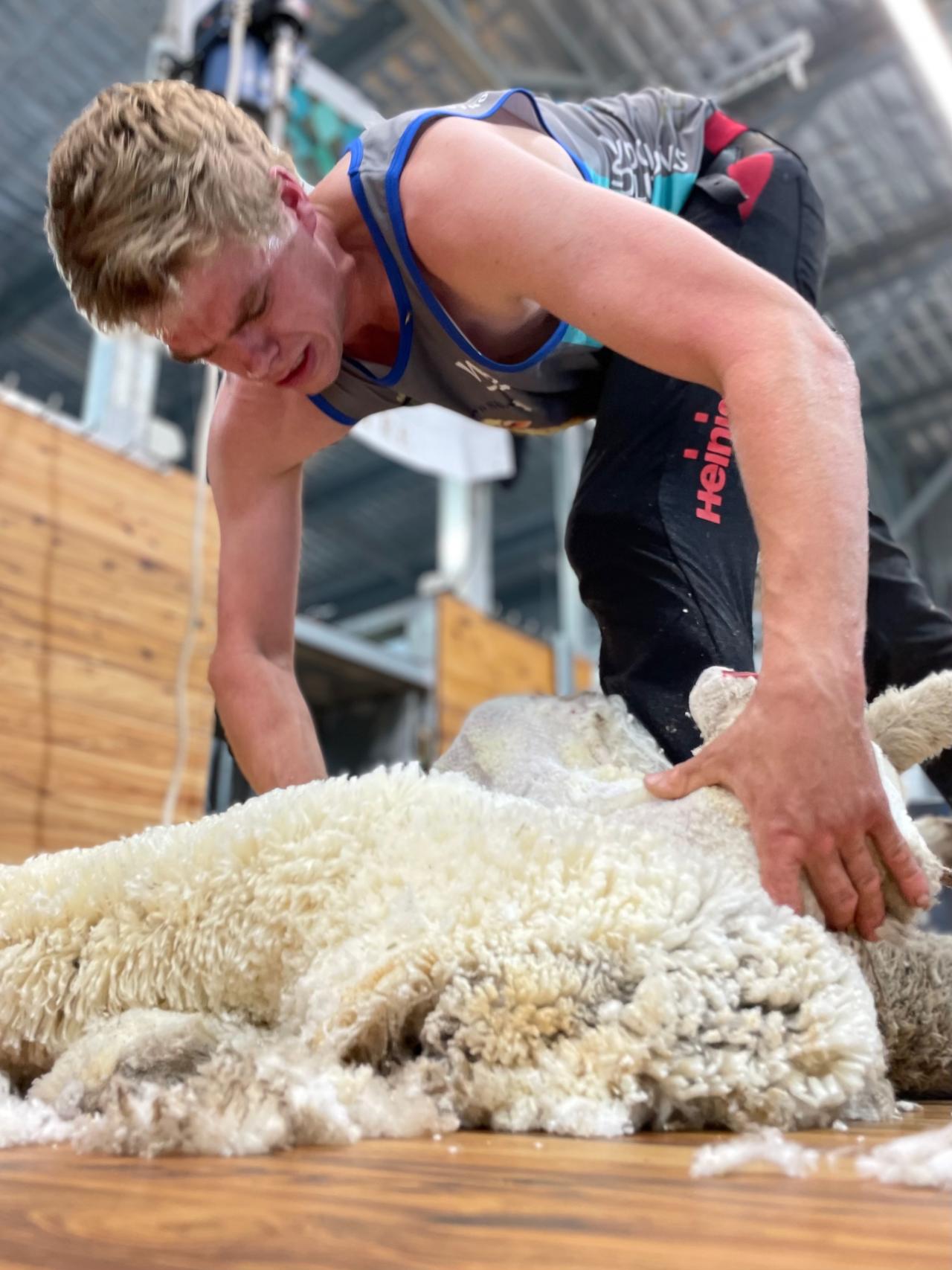 Sam Byers shearing at Campbell Town Show