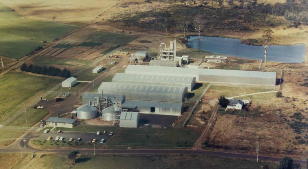 Tas Alkaloids early photo