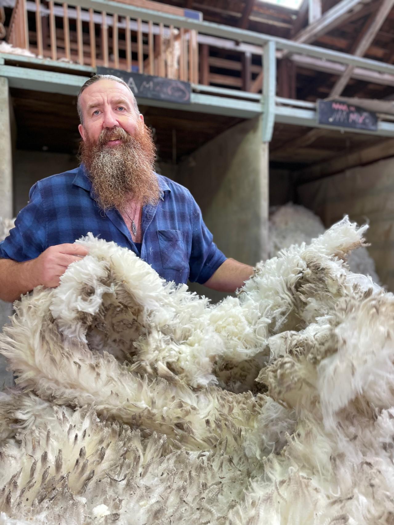 Jason Rogers, wool classer