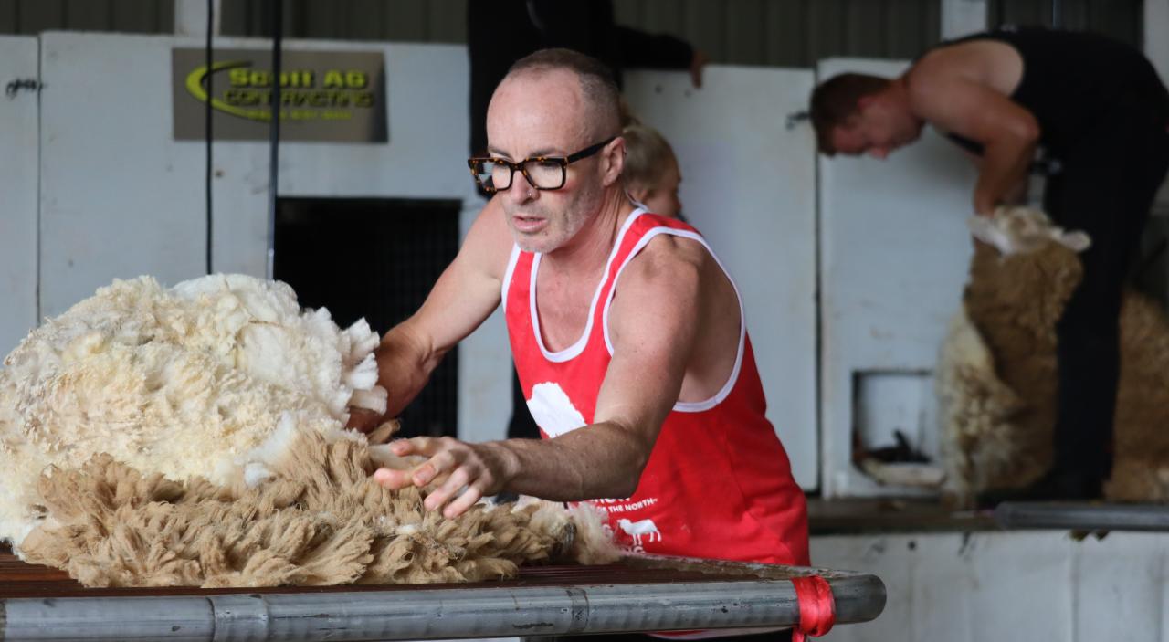 wool handling