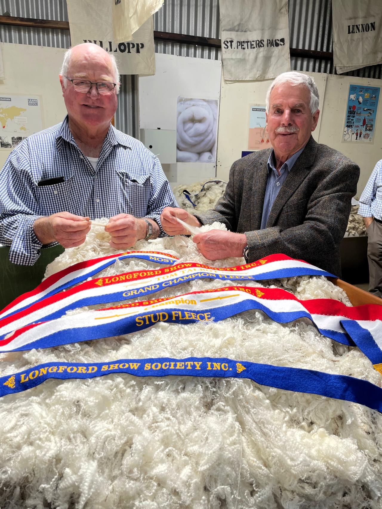 wool judges