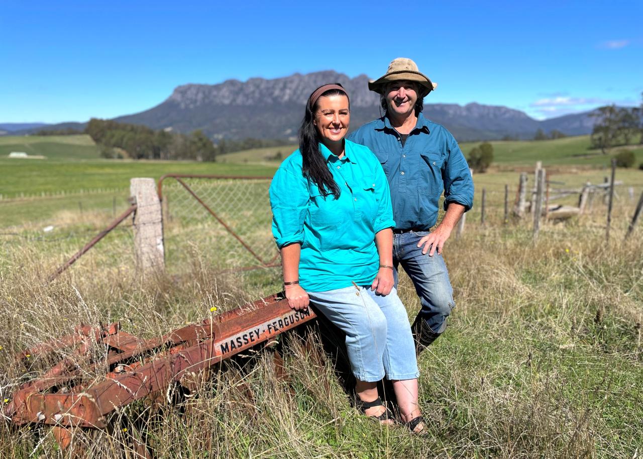 Mt Roland Free Range Eggs