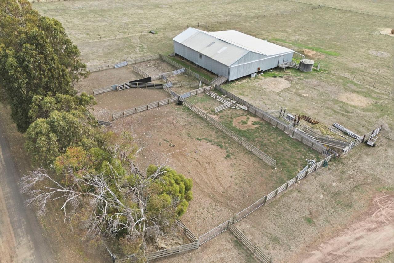 Glen Stuart shearing shed