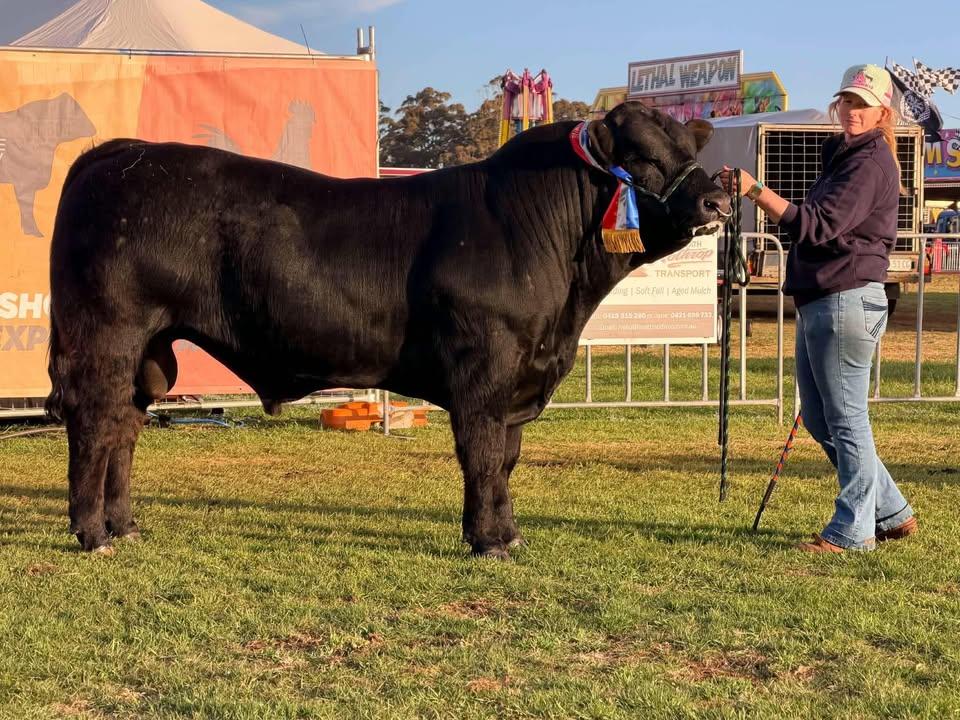 senior male