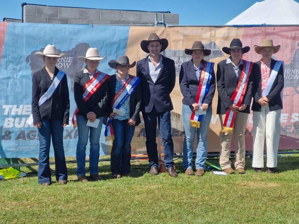 junior beef judging