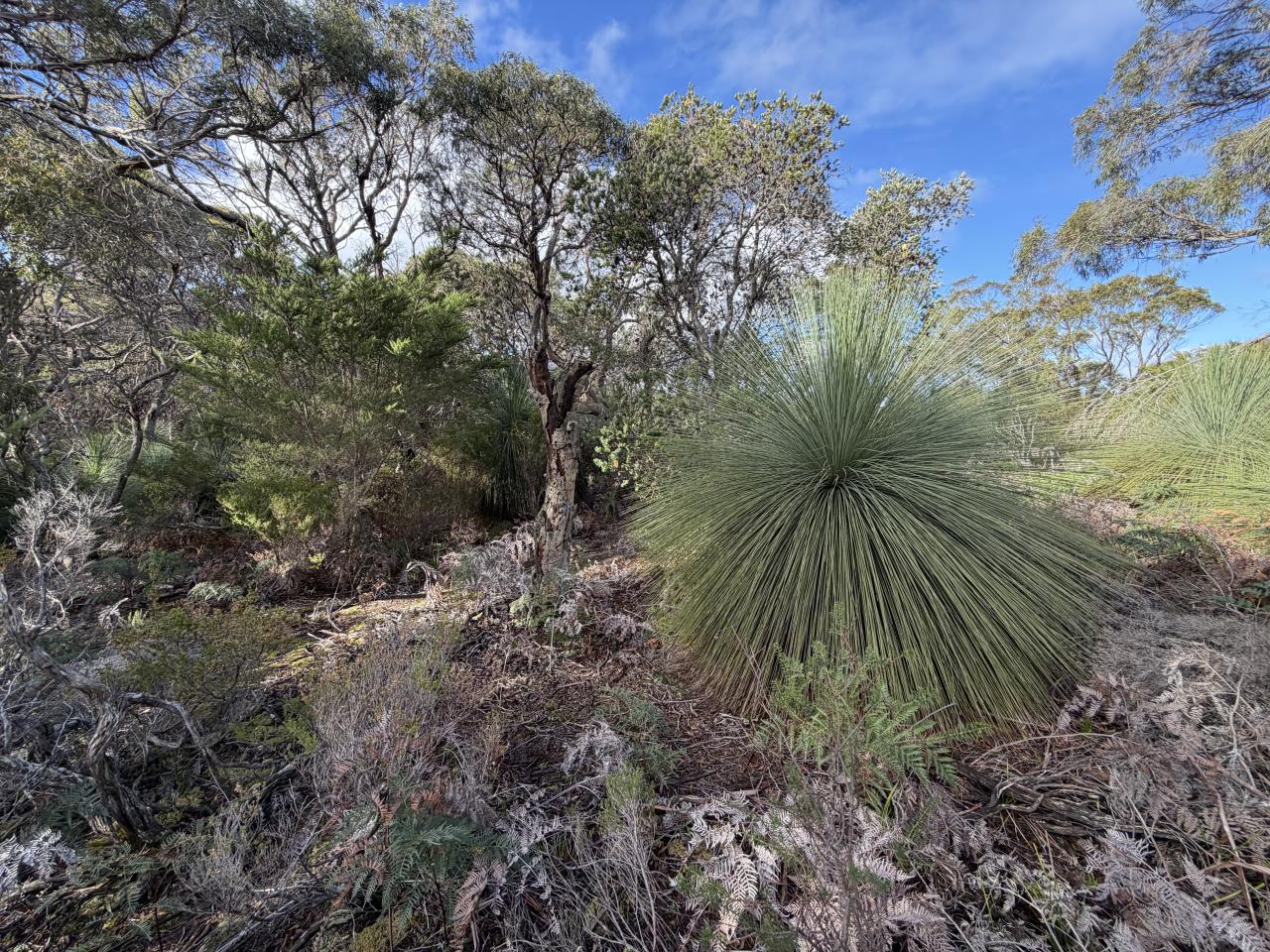 Conservation area on Rushy Lagoon