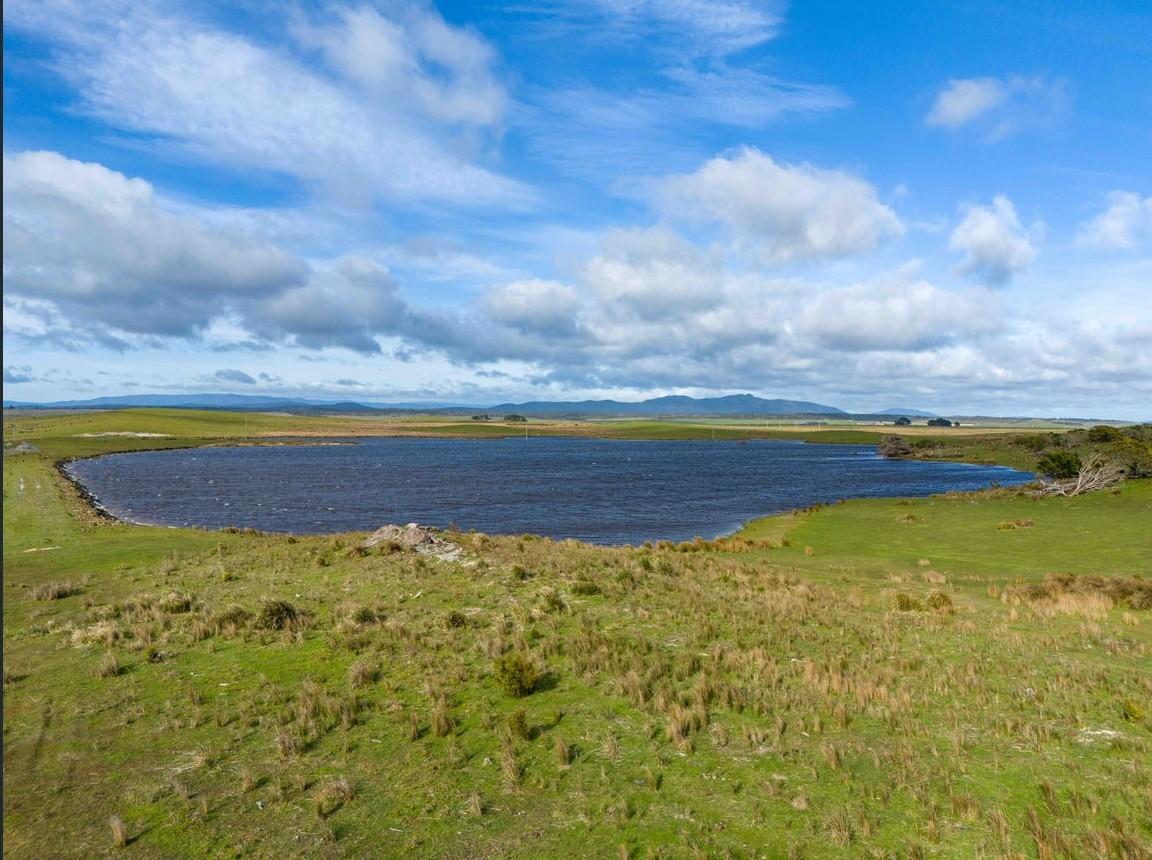 Rushy Lagoon
