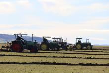  The conventional tractor national ploughing championships.